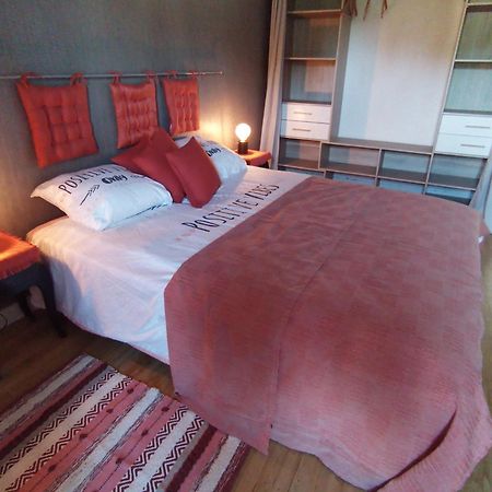 Au Bord De L'Eau Coulon Appartement Buitenkant foto